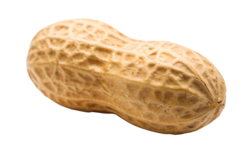 Close-up of a single, whole peanut in its shell, showcasing its textured surface against a clean white background, highlighting its natural form and detail