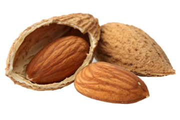 Close-up of Shelled Almonds Nutrient-Rich, Healthy Snack Ingredient, Culinary Delicacy, and Baking Component