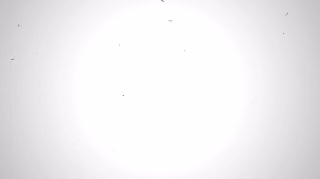 Original super8 film leader. noise effect old. scratched vintage. 4k video