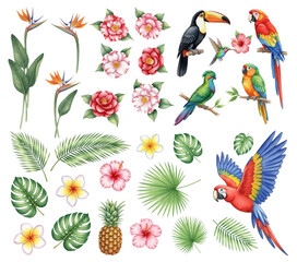Fototapeta premium Toucan, macaw parrots, hummingbird, hibiscus flower, camellia, plumeria, pineapple and palm leaves for beach decor vector set. Monstera, colibri, hibiscus, tropical birds and plants.
