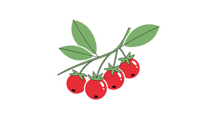 Obraz premium Clean and simple vector illustration of a cranberry branch with four red berries and green leaves, isolated on a white background.