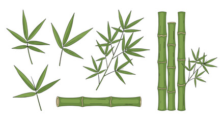 Fototapeta premium Collection of green bamboo stalks, branches and leaves arranged on a white background.