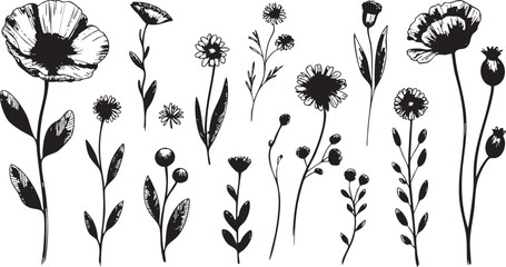 Monochrome floral illustrations set for design botanical elements isolated