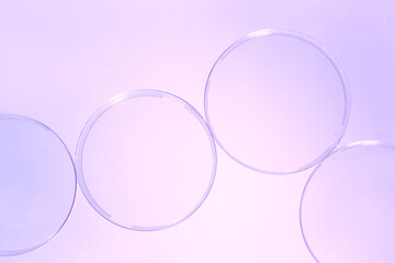 Empty Petri dishes of the same shape in a purple gradient, arranged on a transparent background, demonstrating transparency and shapes for laboratory conditions