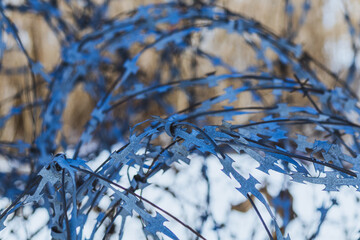 Close-up of coiled razor wire with sharp metal blades painted blue, set against a blurred winter...