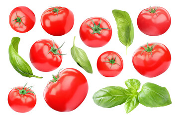 Fresh tomatoes and green basil leaves isolated on white, set