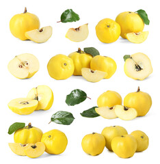 Set of fresh quinces isolated on white