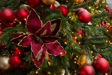 Christmas tree decorated poinsettia flowers and red baubles with lights garland. Xmas holiday...