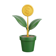 Money plant isolated on transparent background