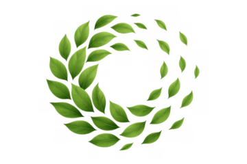 Green leaves swirling in a circular motion, showing nature, freshness, spring, and eco-friendly concepts on a transparent background