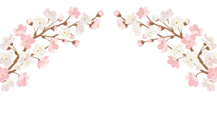 Naklejka premium Delicate pink and white cherry blossom branches frame a clean white space perfect for spring greetings