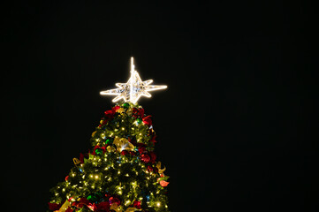 Evening Christmas Tree on the Central Square of Durrës
