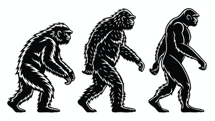 Fototapeta premium Vector illustration illustration showing the evolutionary progression of hominids from apelike ancestor to modern human form