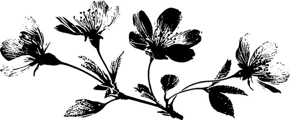 Obraz premium Black and white cherry blossom stencil illustration for nature decor