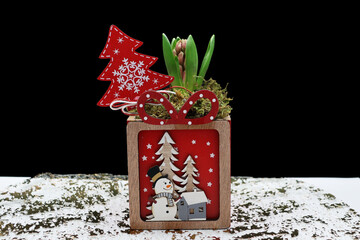 un jacinthe pour f&ecirc;ter No&euml;l