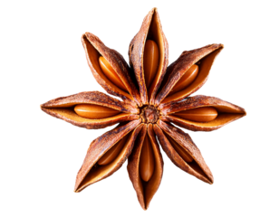 Star anise sparkle macro, PNG