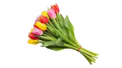 Colorful tulip bouquet isolated on transparent background