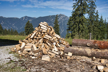 Ein gro&szlig;er Holzstapel liegt auf einer Wiese vor alpiner Berglandschaft.