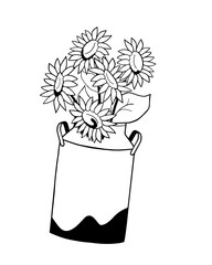 Sunflowers in milk jug on white background, hand drawn vector illustration
