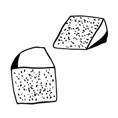Two wedges of blue cheese on white background hand-drawn vector illustration