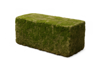 Stone block covered in green moss isolated on transparent background symbolizing growth and nature