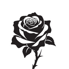 creative rose design using adobe illustrator and vactor..	