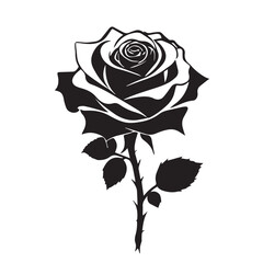 creative rose design using adobe illustrator and vactor..	