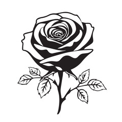 creative rose design using adobe illustrator and vactor..	