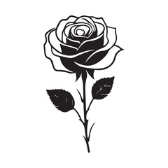 creative rose design using adobe illustrator and vactor..	