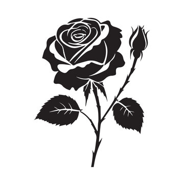 creative rose design using adobe illustrator and vactor ..