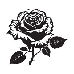 creative rose design using adobe illustrator and vactor..	