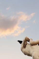 An ominous bird has landed in the park