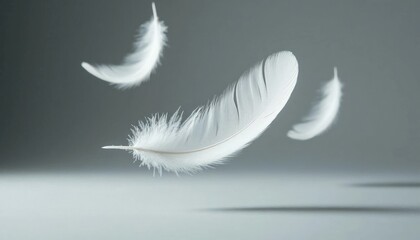 Obraz premium Delicate white feathers gracefully floating in mid-air against a soft gray background, creating a serene and tranquil atmosphere for artistic expression and design