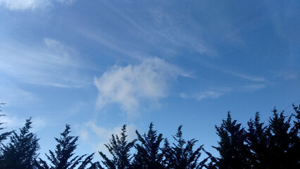 sky and clouds with trees