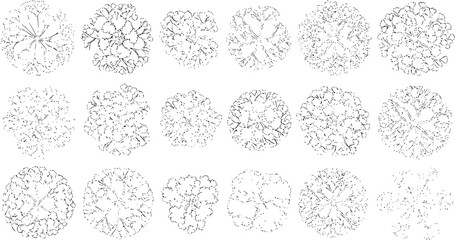 Tree top view outline collection, diverse foliage patterns, ideal for architectural plans, landscape designs, urban planning botanical illustrations, and garden