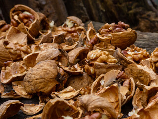 Rustic Walnuts and Cracked Shells on Dark Wood Surface