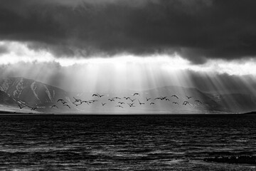 D&yacute;rafj&ouml;r&eth;ur 