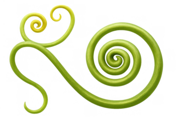 Green plant tendril growing in spiral and heart shapes, evolving nature, bio design element with transparent background