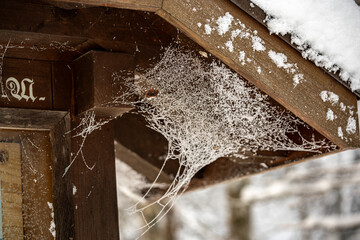 Vereiste Spinnweben am Holzdach im Winter
Icy cobwebs on the wooden roof in winter
