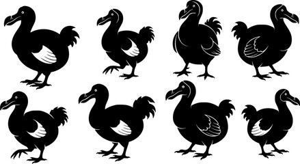 Fototapeta premium Dodo silhouettes, Dodo bird silhouette, Dodo bird, Dodo, Dodo bird vector illustration