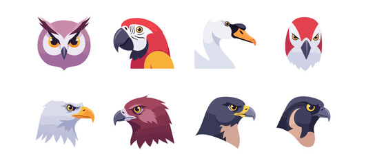 Various bird portraits collection on black background