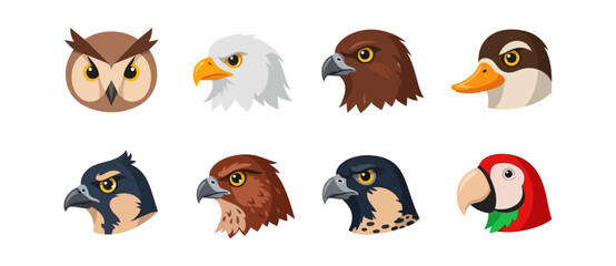 Birds collection illustrations vector graphics design elements
