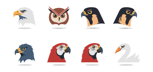 Bird heads collection vector illustrations various species isolated