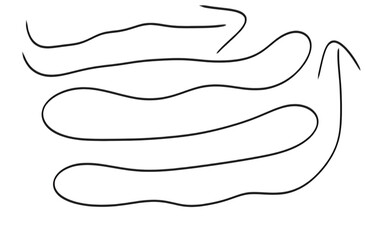 Abstract illustration of multiple curved lines and an arrow shape on a white background design element