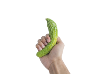Male hand holding fresh green bitter melon vegetable isolated on transparent background, organic healthy food ingredient.
