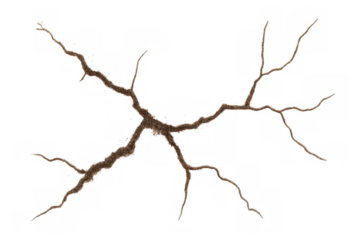 Dry ground cracks spreading, indicating drought, environmental damage, and land erosion, with transparent background