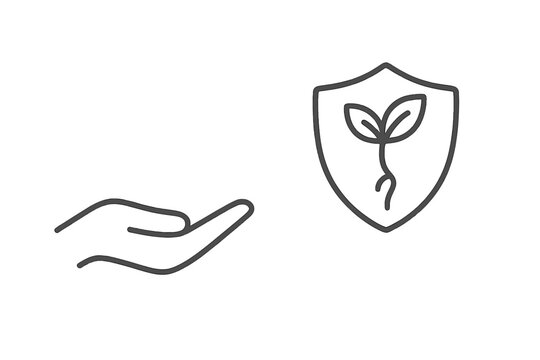 Palmplate Line Art. Line style vector icons of palmplate radicle: smooth hand figure, palm slope, plate-like shield, neat shield