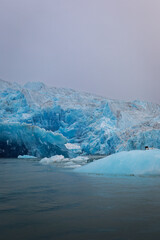 Islandis glacier in Qalerallit Sermia fjord, Greenland, 15th August 2025. Expedition to glacier and calving icebergs.
