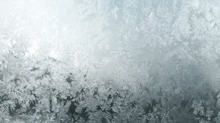 Obraz premium Beautiful frost designs form intricate shapes on a window glass in winters chill.