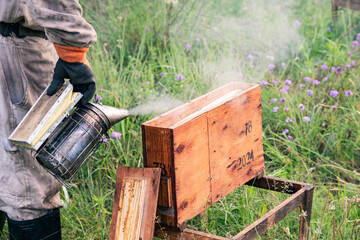 Beekeeper blowing smoke into a small wooden hive